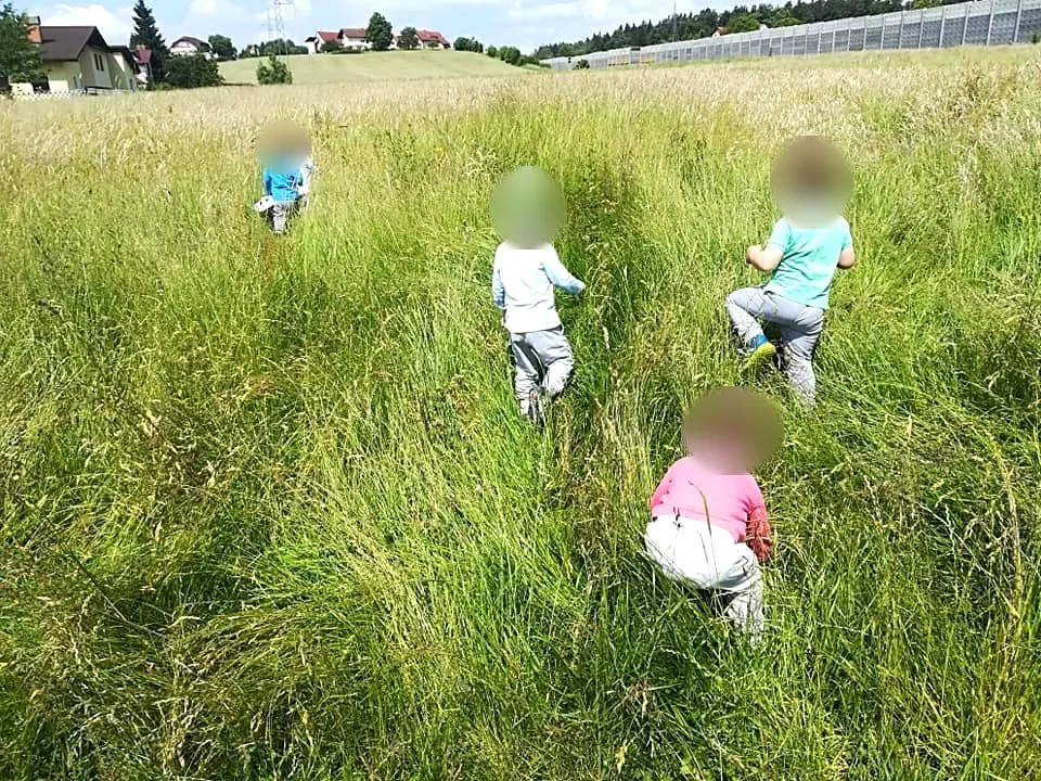 Otroci od zadaj raziskujejo travnik med visokimi travami